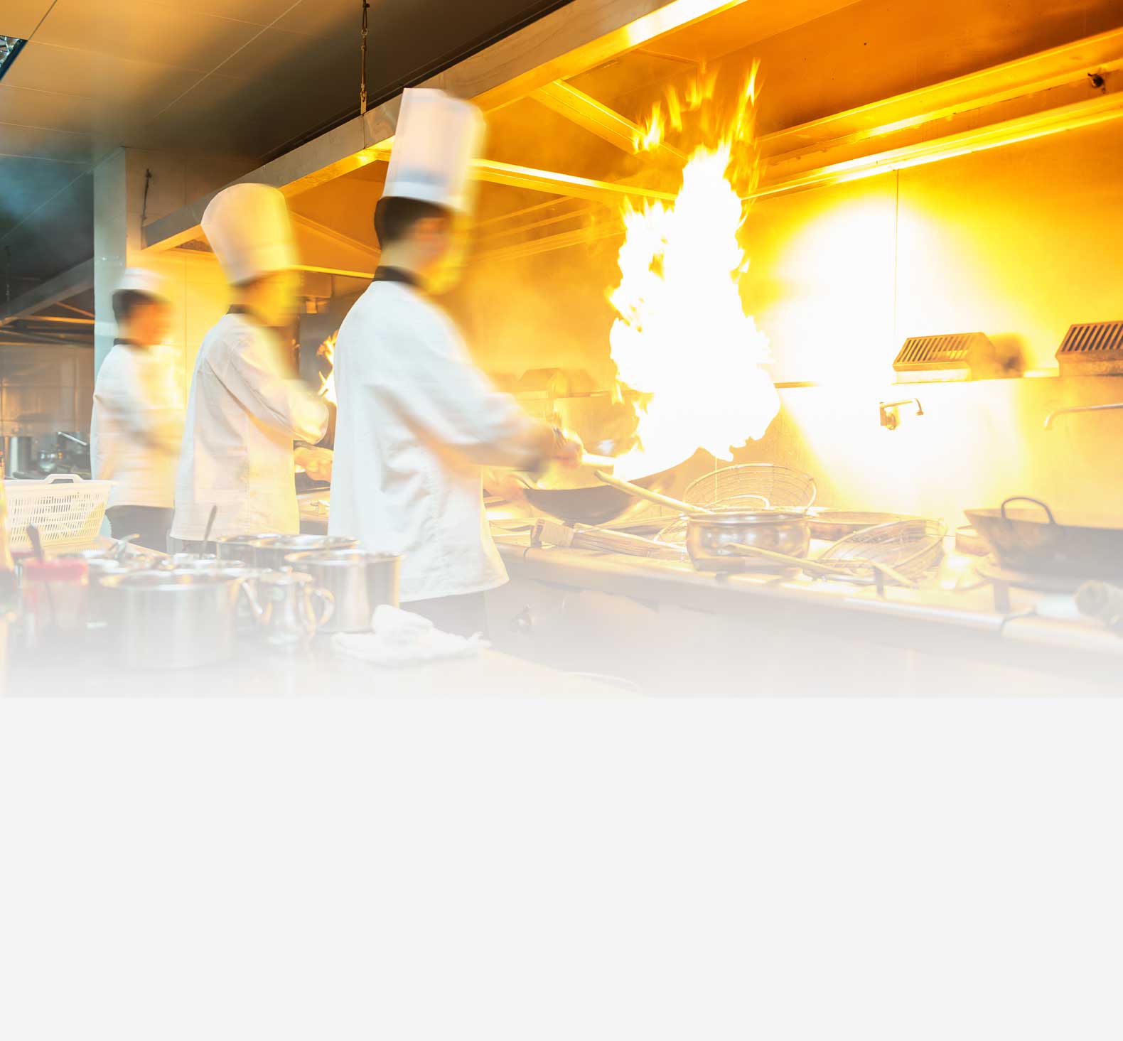 Canterbury Business College - Hosptitality